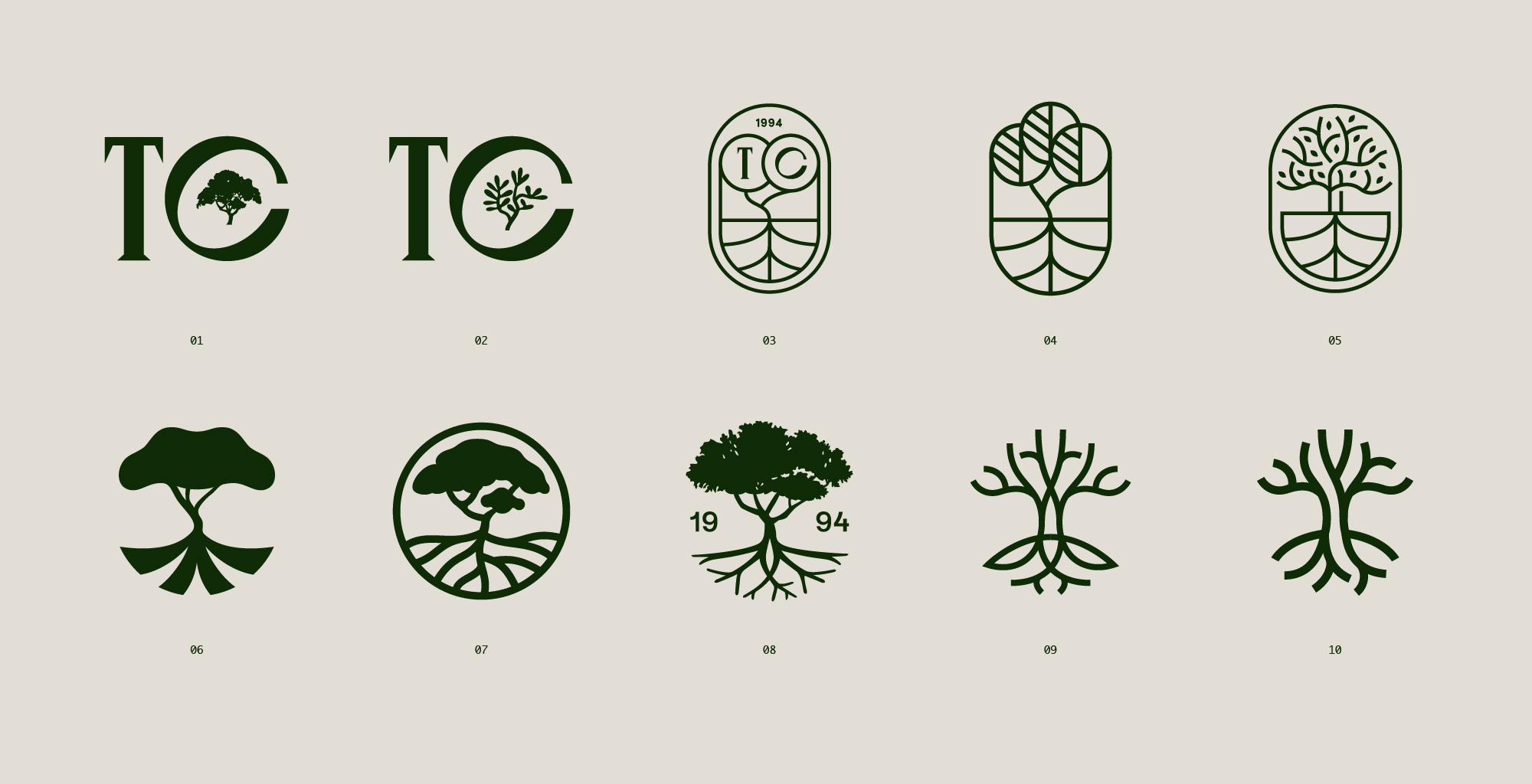Logo Proposals for Tamarix Capital (Rejected)
